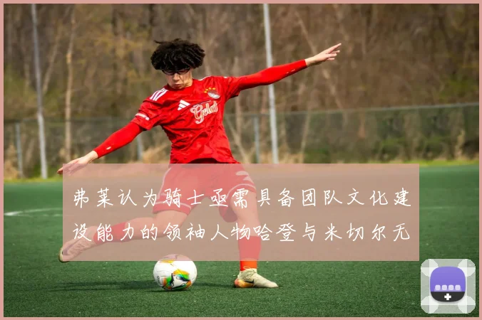 弗莱认为骑士亟需具备团队文化建设能力的领袖人物哈登与米切尔无法胜任