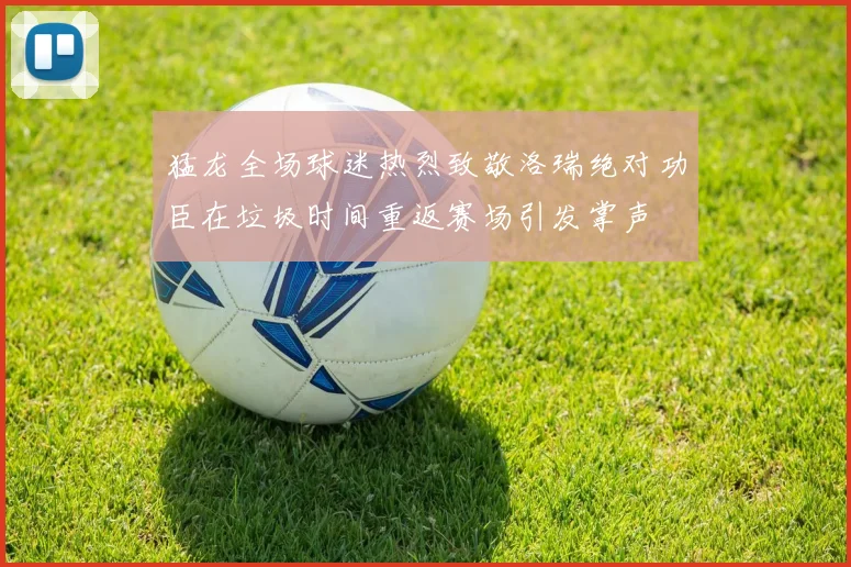 猛龙全场球迷热烈致敬洛瑞绝对功臣在垃圾时间重返赛场引发掌声