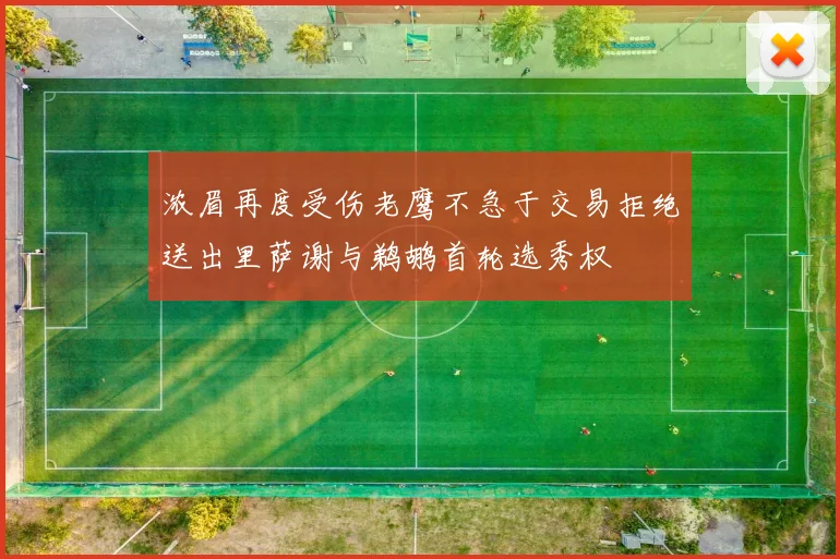 浓眉再度受伤老鹰不急于交易拒绝送出里萨谢与鹈鹕首轮选秀权